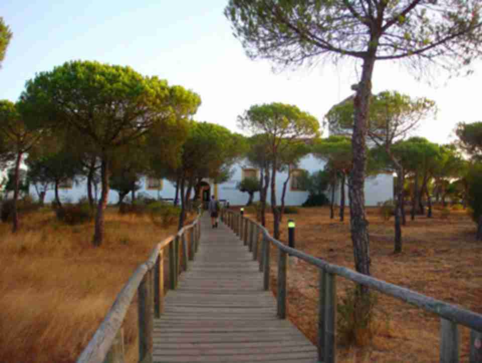 1994�����롶�����Ų���¼��