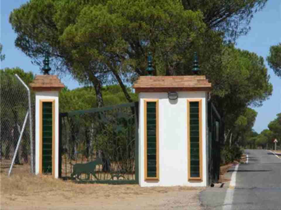 �����������Ϊ50065���꣬��������ֹ����