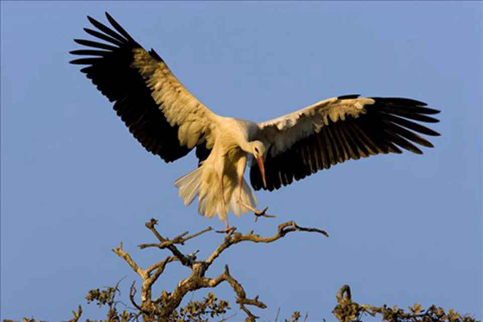 ����ַ������ʿ����Ѽ�ӹ���������Ҫ��ʪ��