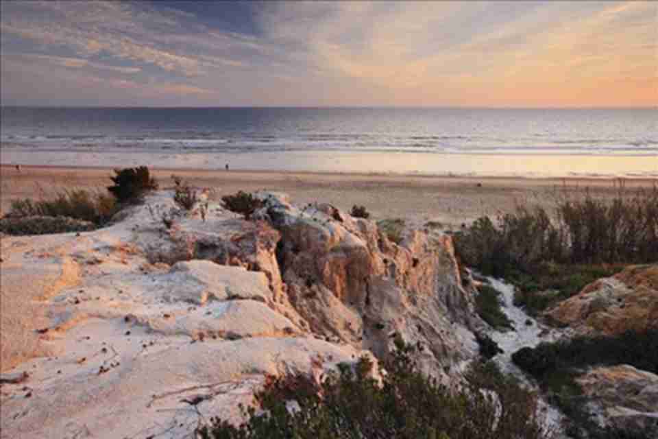 ���Ź�ҵ�����������������ʪ�����ڼ���