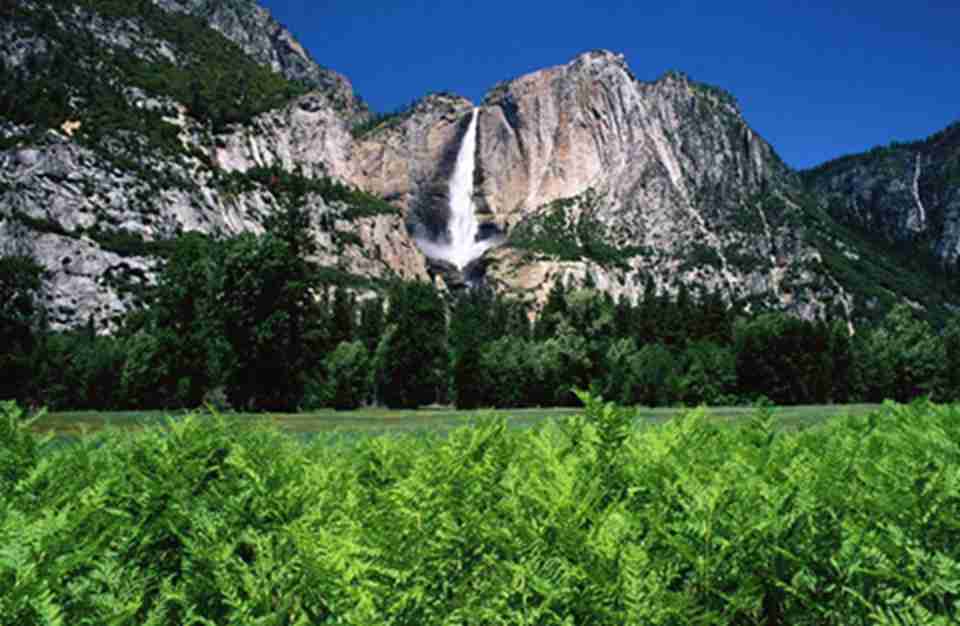 �����Ϲ��ҹ�԰�ǹ��Ҽ�����Ȼ������