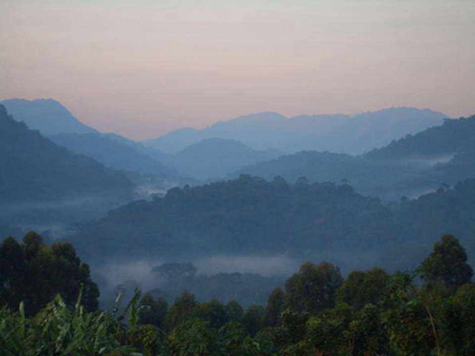 ����Խ��Խ���ӶԲ����Ϲ��ҹ�԰�ı���