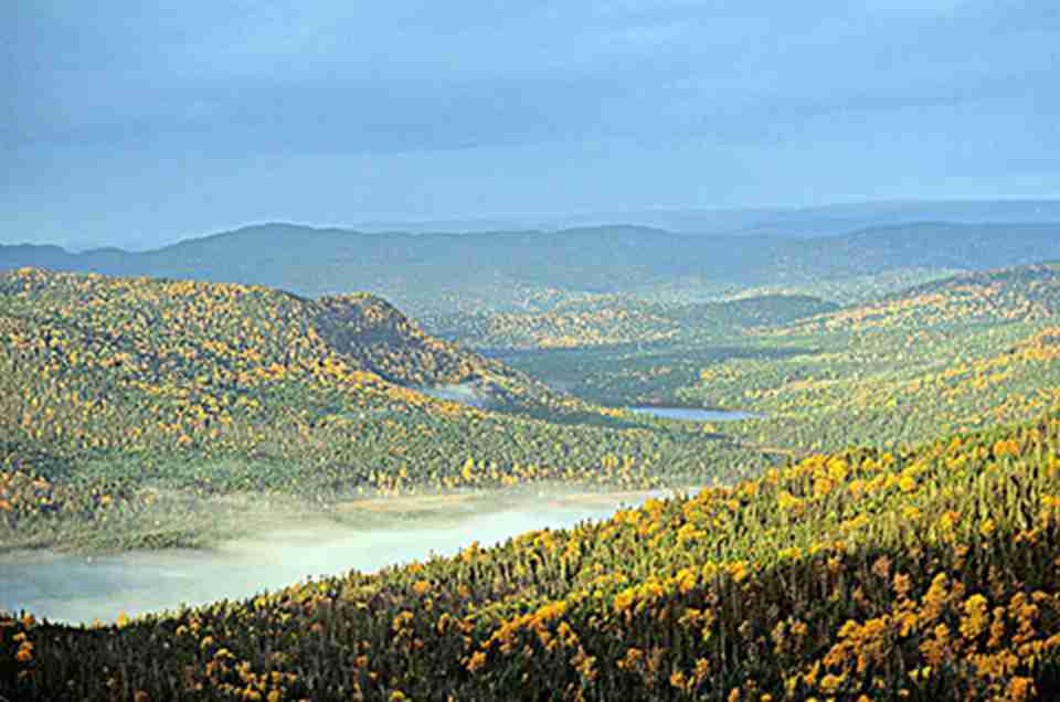 ����˹Īګ���ҹ�԰�о��˵�����