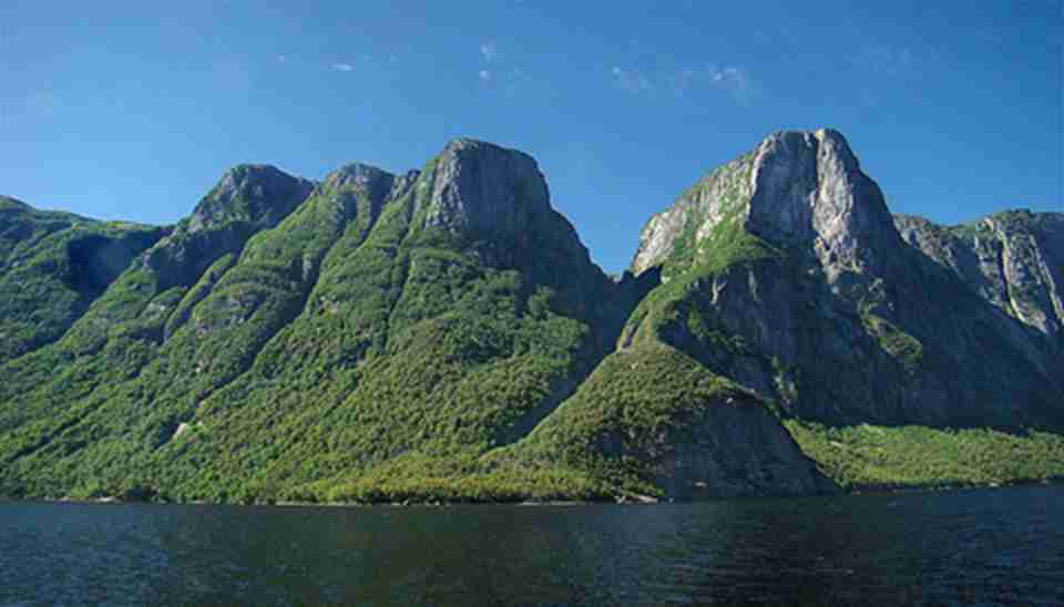 ����Ĵ󲿷ֺ������������ͱ�,���ѵĺ���