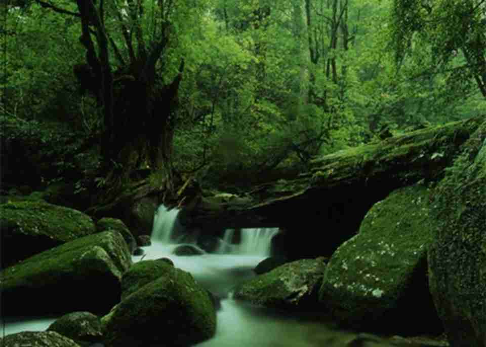 ֲ������