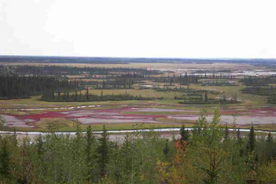 ��²����޹��ҹ�԰λ�ڼ��ô��б�����ƽԭ��