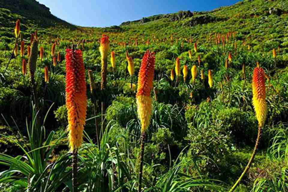 ���׶����ҹ�԰����������ܳ�����Ȼ����