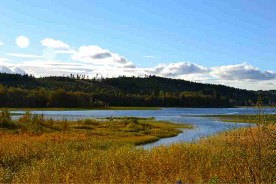 ���߶������о��ؿǾ�������ġ���������