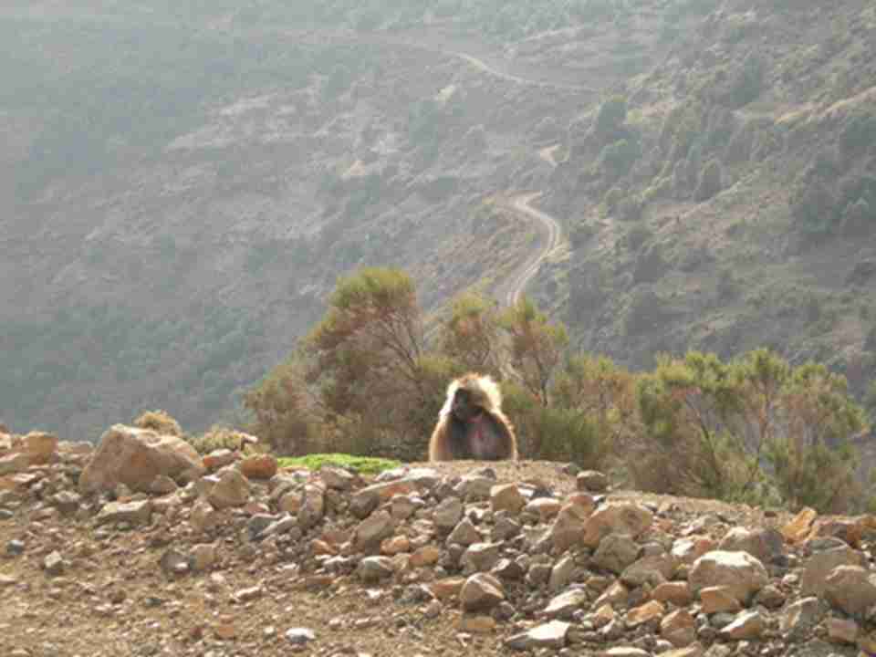 ���׶����ҹ�԰��ĳЩϡ�����涯�������֮��