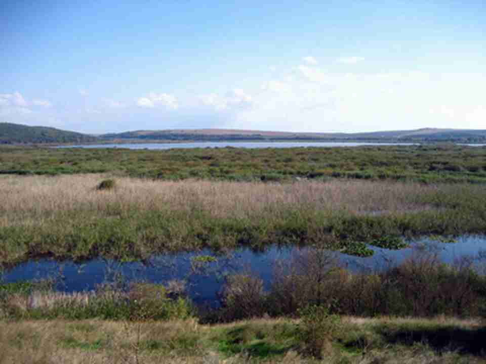 ˹�ײ����ɺ�λ�ڶ�觺ӷ���ƽԭ��