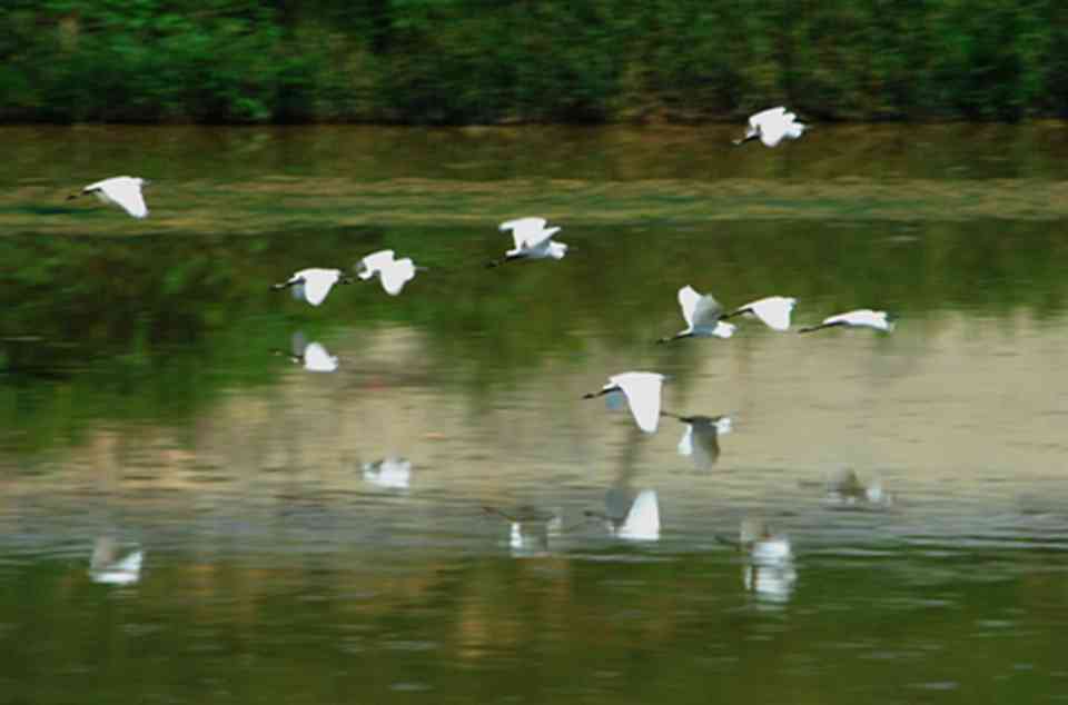 ˹�ײ�������Ȼ��������������ڶ�