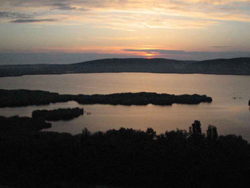 �������ڵ����ﻷ��������һЩ����