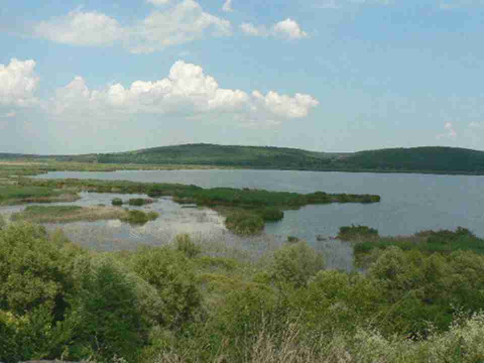 �����ƶ���һϵ�д�ʩ��ǿ��˹�ײ�������Ȼ�������Ľ���