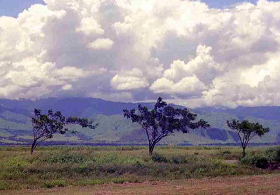 ���״Ĺ��ҹ�԰�Ƕ��������ı�����