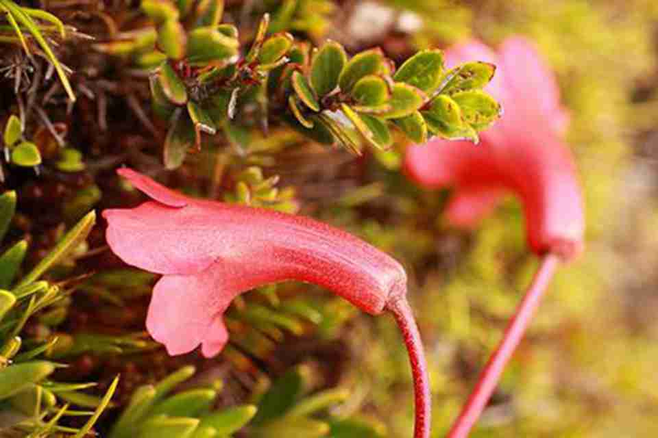 ����һ������Ȼʩչ���ޱ�ħ���ĵط�