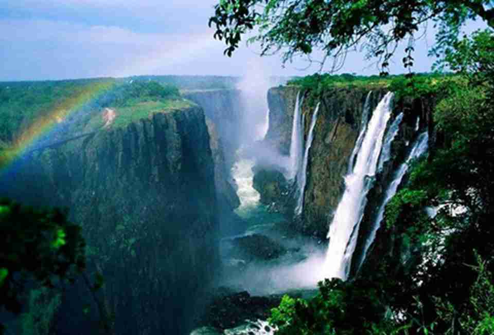 ��˵���ٲ�����̶���棬ÿ�춼��һȺ�绨�������Ĺ���