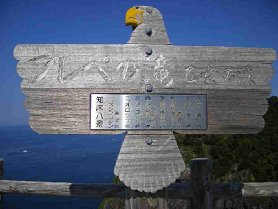 Ϧ��̨��֪���뵺����Ϧ���ľ��ѵص�