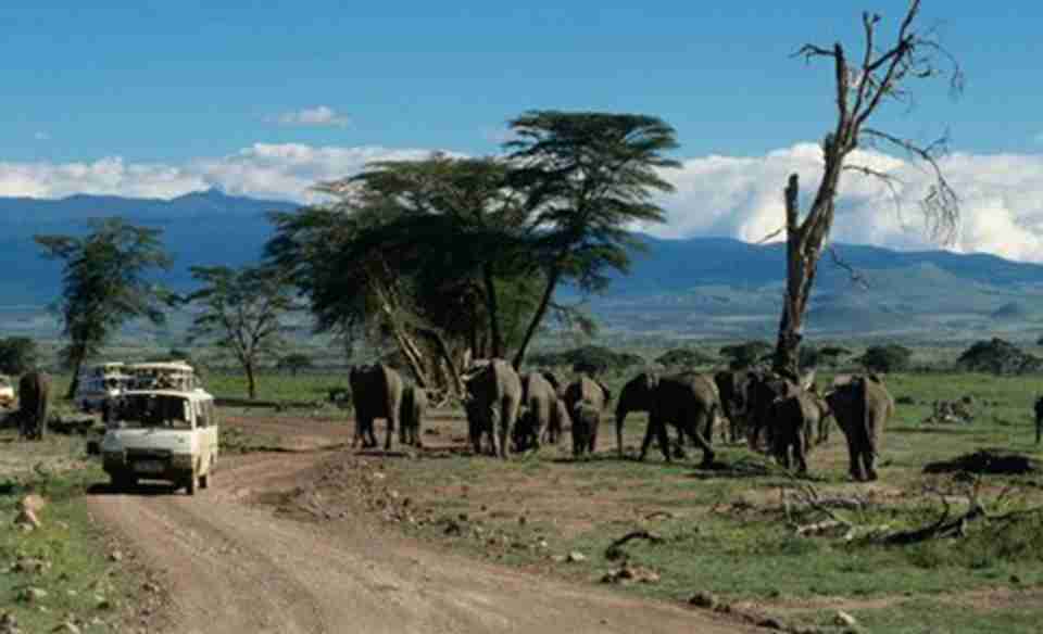 ���ն���W�����ҹ�԰ռ�����220000����