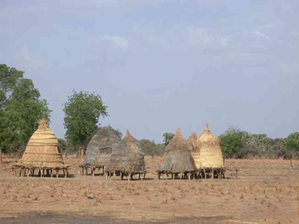 ���ն���W�����ҹ�԰����ʯ��ʱ�������˾�ס