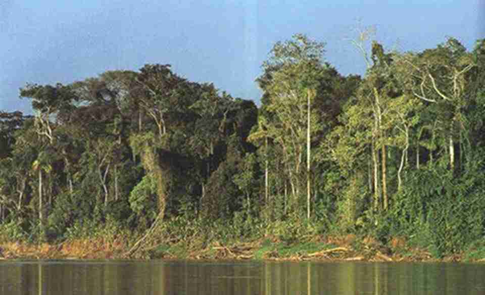 ��Ŭ���ҹ�԰�����Ų�ͬ��ֲ��Ⱥ