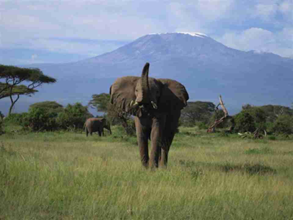 ����������ɽ���ܶ���ɽ�֣������������ڶ�Ĳ��鶯��