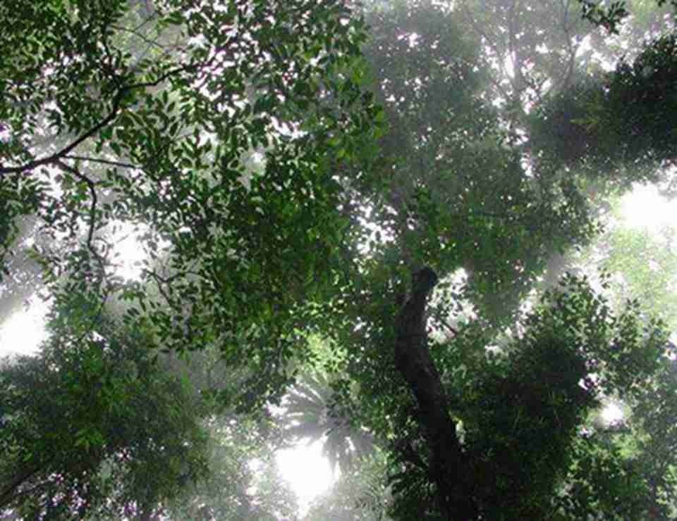 ���ﻹ�д�Ƭ���������������γɵ�����