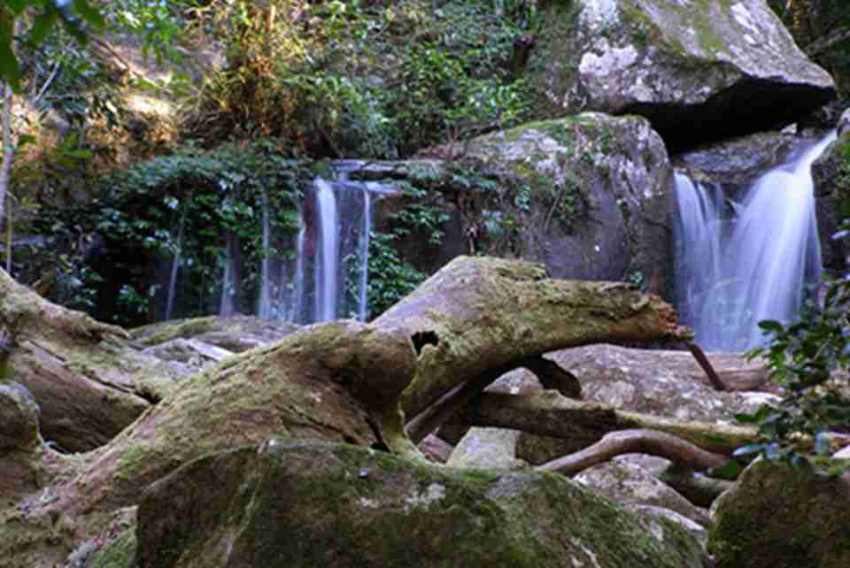 �����Ͼ��кܸߵĿ�ѧ��ֵ�ͱ�����ֵ