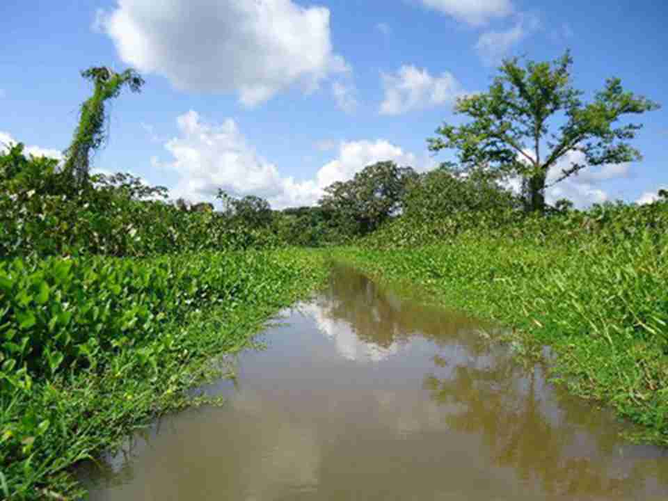 ��˹���ٰ�˹���ҹ�԰����������Ͱ������ꡢɭ�ֺ������