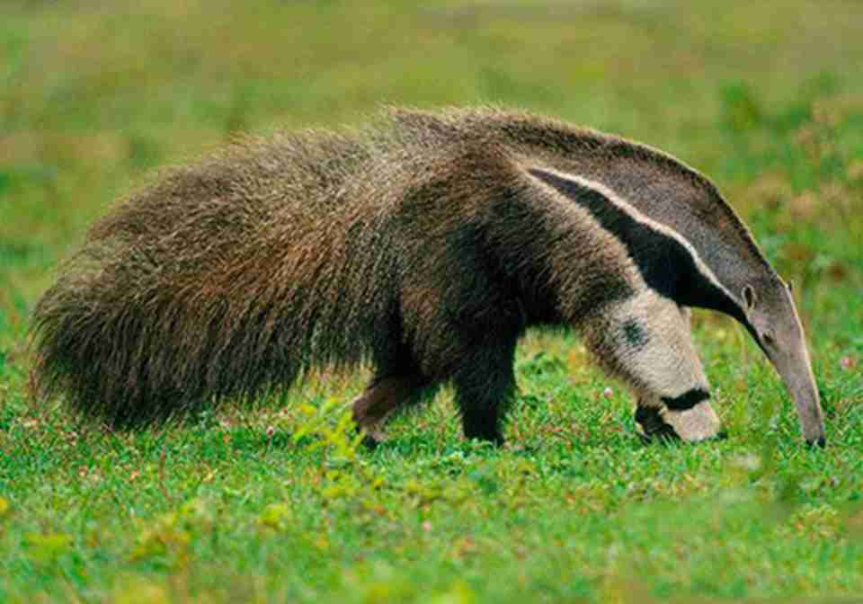 ��԰�����ڶ���������