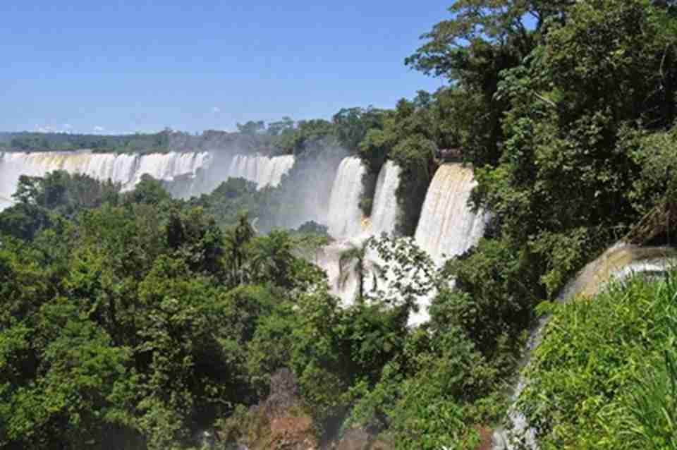 Ͽ��������������ʪ�����֣����г�ϸ˿״��ާ��ֲ��