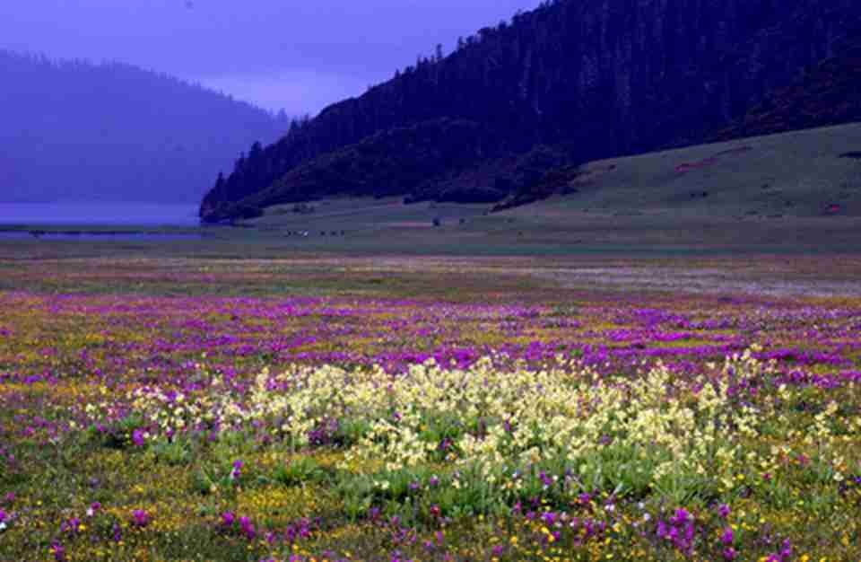 ÿ�괺ů����ʱ�������ǻ��ĺ���