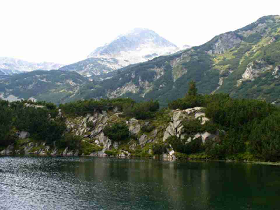 ��԰�ھ�����ҪΪ�Ͷ��ɿ�˹�ص���