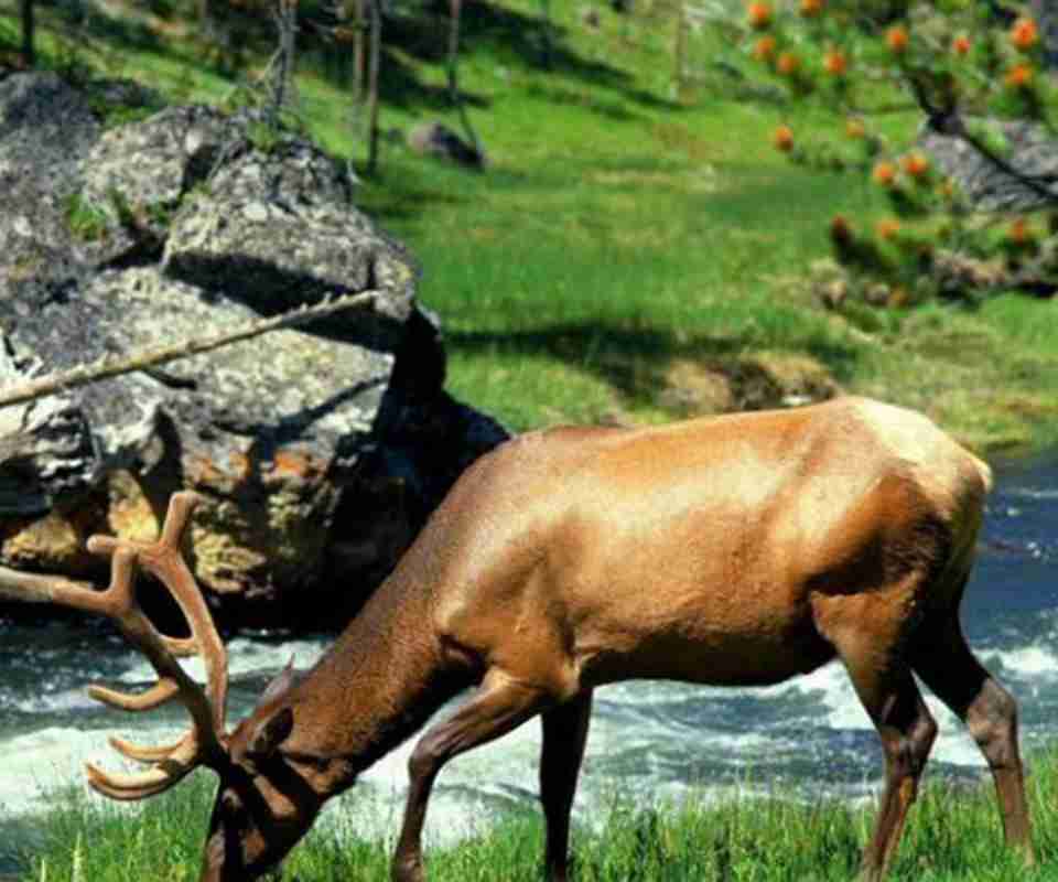 ���ﲻ����ֲ�����԰��Ҳ�Ƕ����������Ϣ��