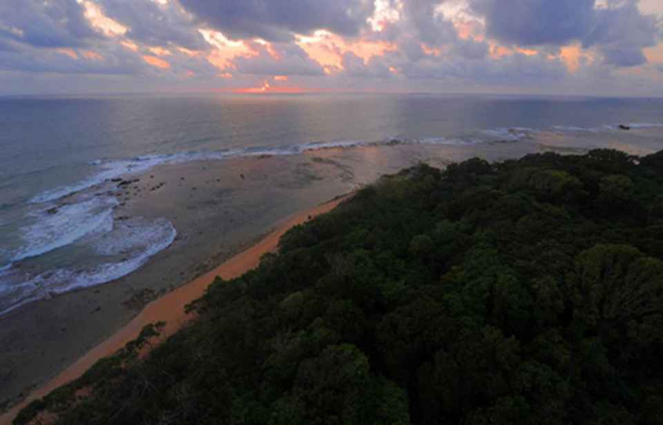 ���ֱ��������Ŵ��������ؼ���Ԫ����̬��ò