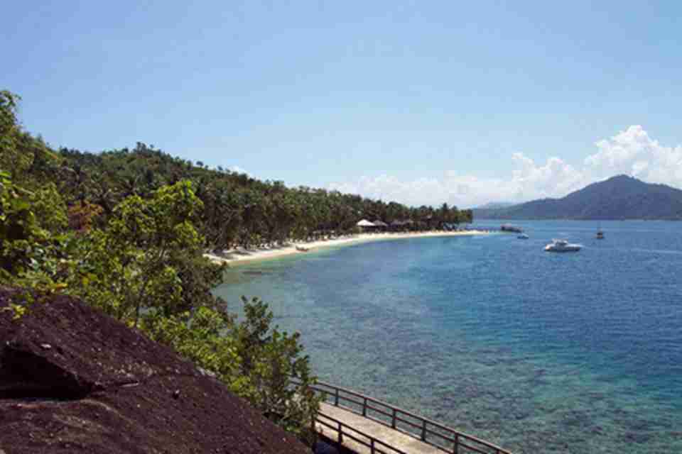 �����ȴ�ֲ�︲��ȫ��������������Ȼ