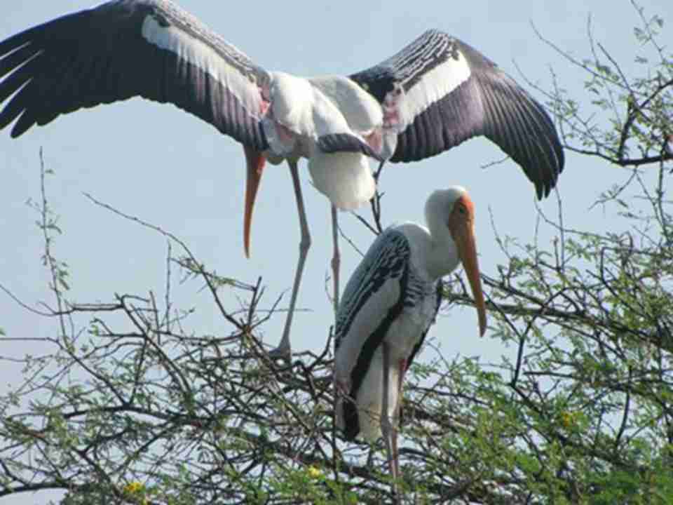 ��ǧ�����һ�ٶ��ֺ���ʹԶ���������ǣ�Ҳÿ�궼�����Եع������