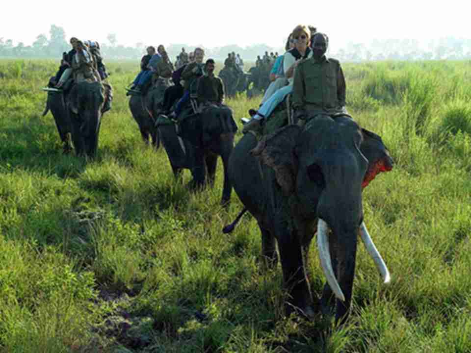 �����ڹ��ҹ�԰��ͳһ�����£����ϴ����߽�Ϭţ��û�������