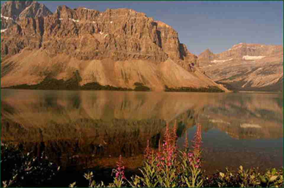 ���ɽ׳�������ĵ�ò�����Ŷ��˶�ʵ�ֲ��