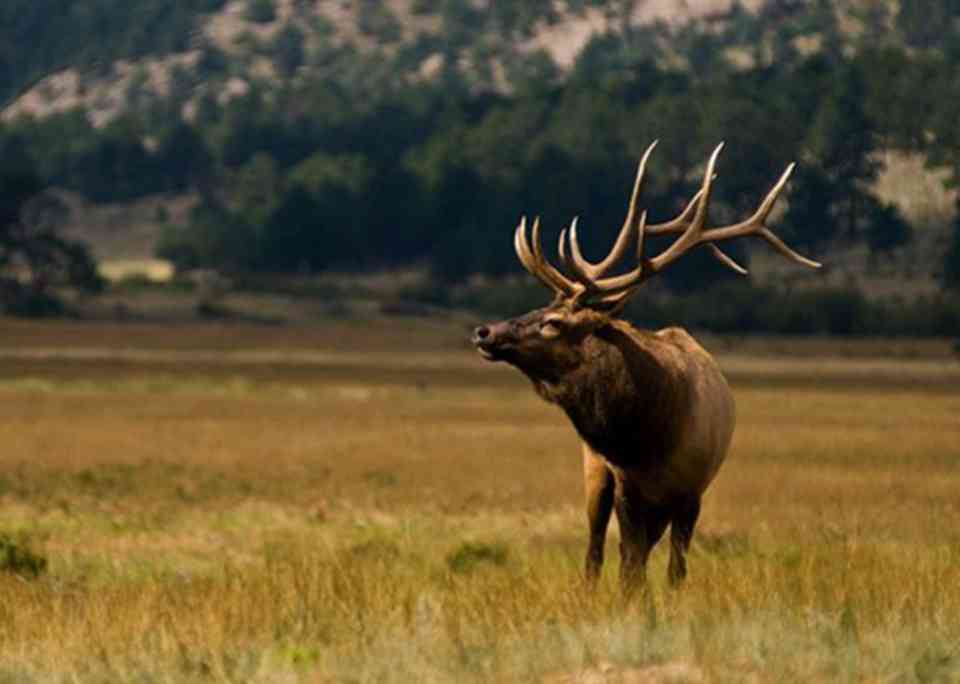 ���Ұ�������Ʒ��Ҳ�ܶ�