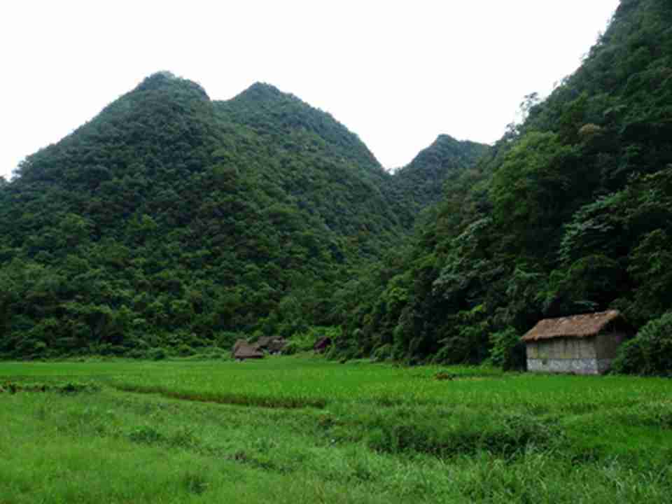 �󲨿�˹��ԭʼɭ�֡�ˮ��ɭ�ֺ͡�©����ɭ�֣��ϳơ���������