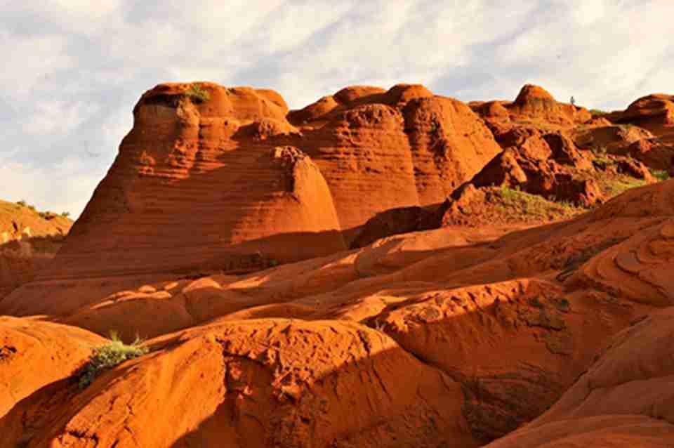 ��ϼ��һ�����������ò�����Լ����ڲ�ͬ�ĺ���ɫ�ĵ�ò����