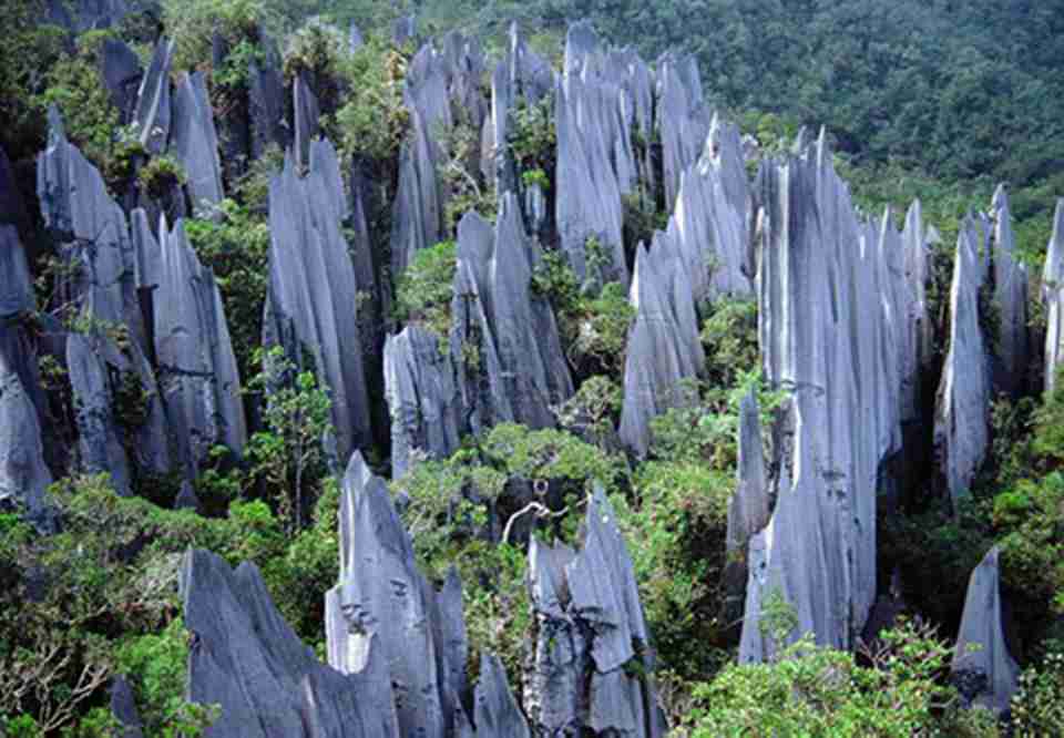 ԰��������ɫ��ӵ�зḻ��׳�۵Ŀ�˹����Ȼ����