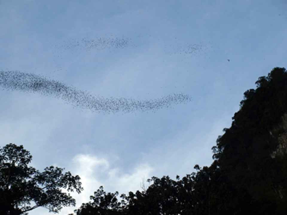 ¹������200����ֻ���𣬳�ǧ�����������ڰ���ʱ�������ʳ