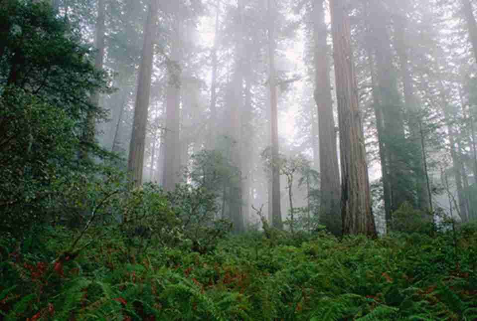 ��ɼ����ÿ����û�ڴ�̫ƽ��Ʈ������ů�ĺ�����