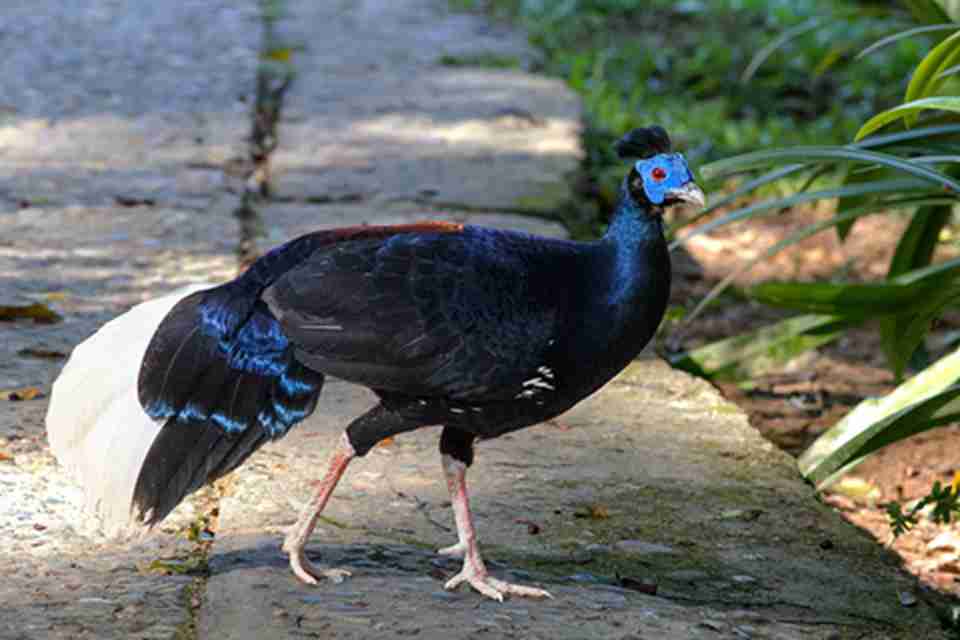 ͬʱ��Ҳ�����෱���Ұ�������ǵ���԰