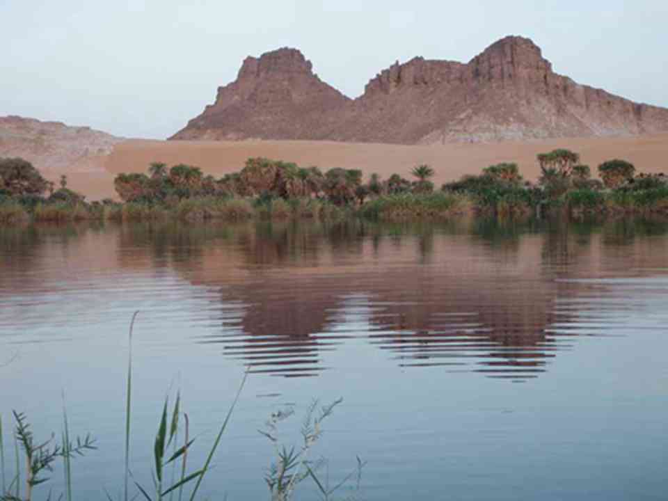 ���᰺�Ӻ���Ⱥ��է�ñ������ڵϵ�����һ������Ⱥ