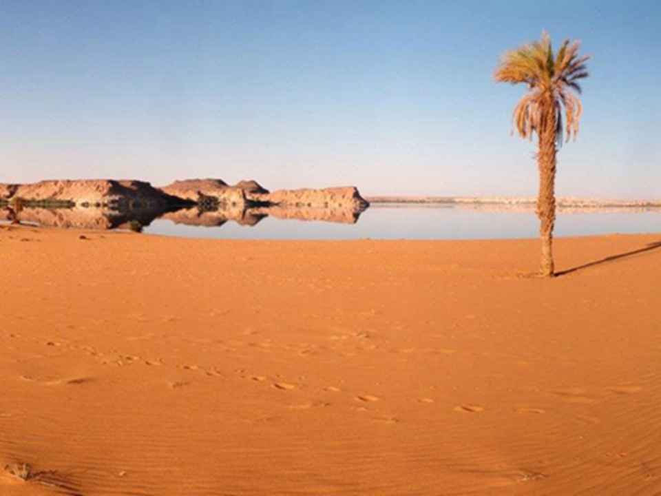 热带干燥而顽固的风长年累月吹皱了沙面,吹出了层层微波,就像乌尼昂加湖泊群上泛起的涟漪