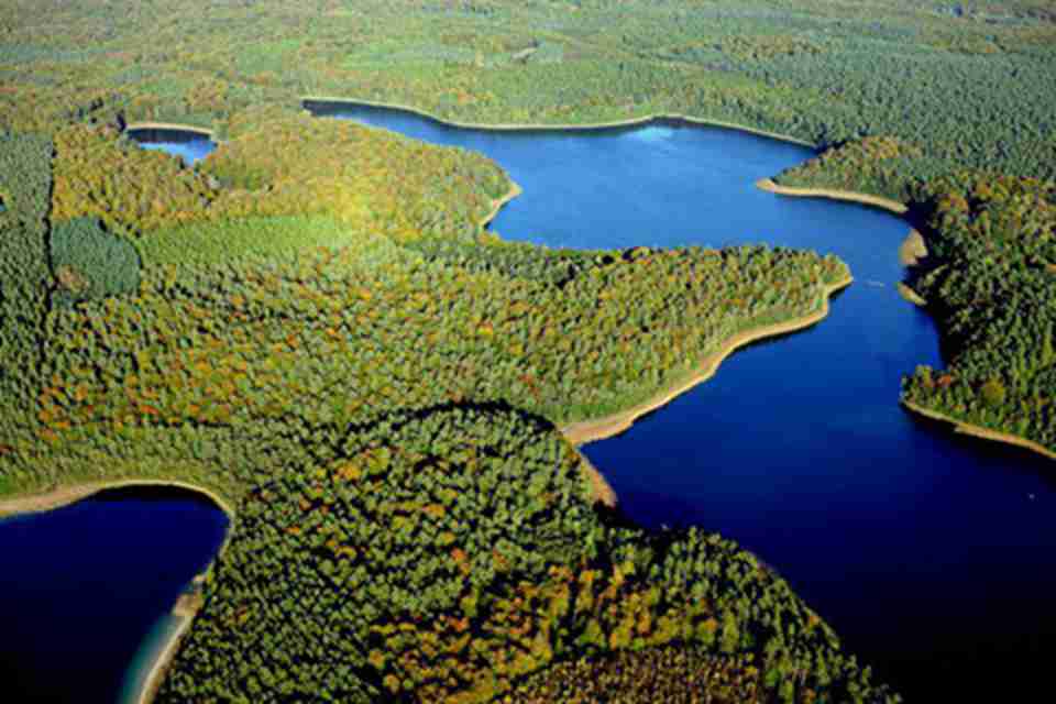 ��������ɽ����ɽë�ԭʼ����ȫ����Ҫ����ϡɭ�֣�Ҳ��ŷ�޷ֲ��������ԭʼ��