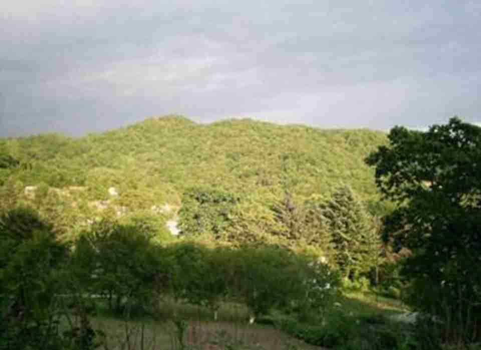 ��˹�����ذ���ɽ��λ�ڶ���˹Զ������