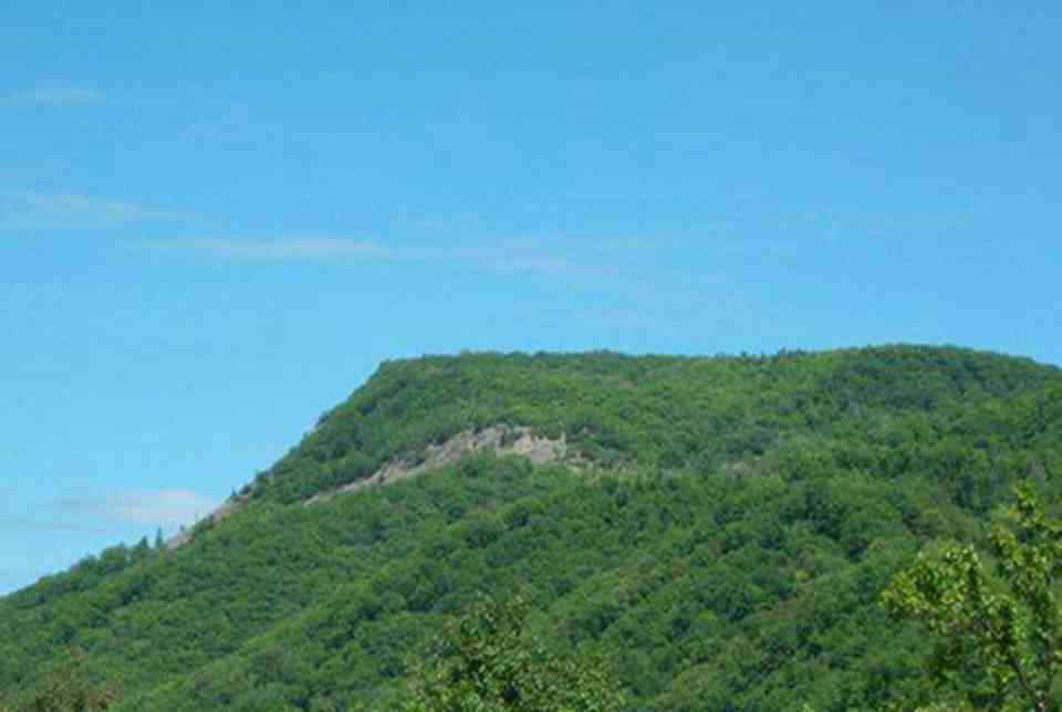 ��˹�����ذ���ɽ������������������������������˵�ɭ��